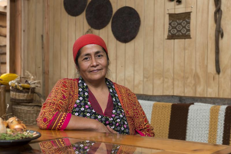 mapuche-ancestral-route-in-curarrehue-from-pucon-2
