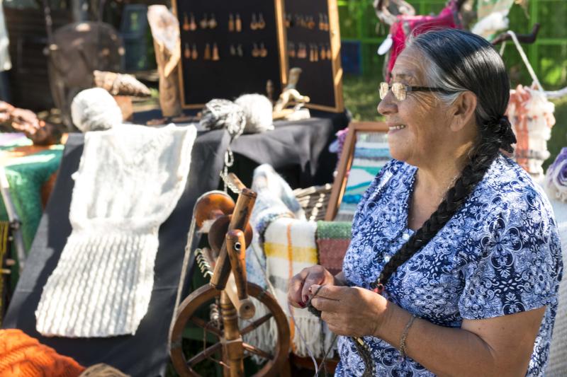 mapuche-community-lake-budi-from-pucon-4