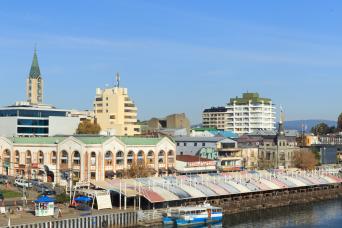 Valdivia Essential City Tour