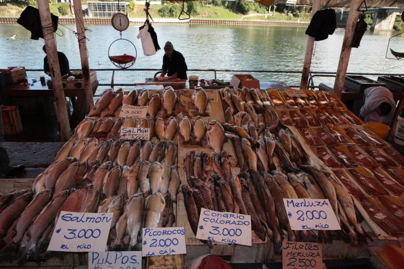 valdivia-essential-city-tour-2