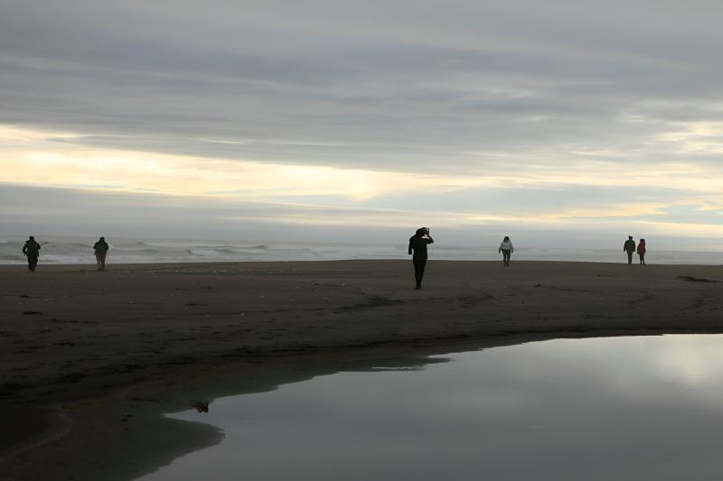 chaihuin-corral-treasures-of-valdivia-coastal-ro-3