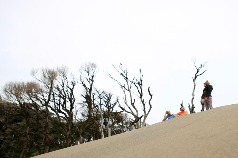 chaihuin-corral-treasures-of-valdivia-coastal-ro-4