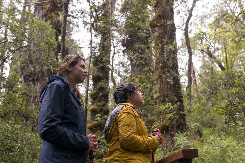 trek-to-national-park-alerce-costero-in-valdivia-1