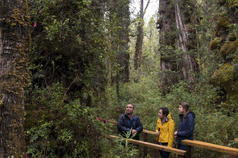 trek-to-national-park-alerce-costero-in-valdivia-2