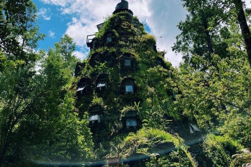 adventure-to-huilo-huilo-biological-reserve-4