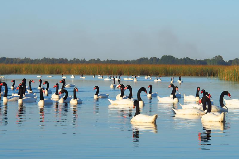 punucapa-navigation-natural-sanctuary-in-valdivi-1