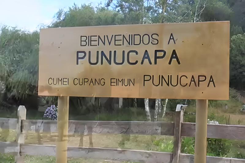 punucapa-navigation-natural-sanctuary-in-valdivi-2
