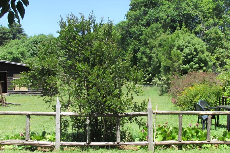 crossing-to-san-ramon-peninsula-in-valdivia-2