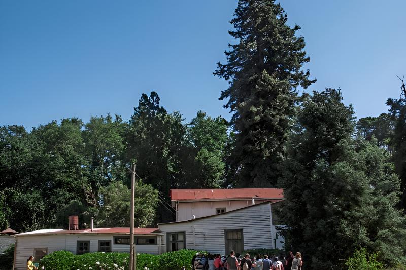 crossing-to-san-ramon-peninsula-in-valdivia-4