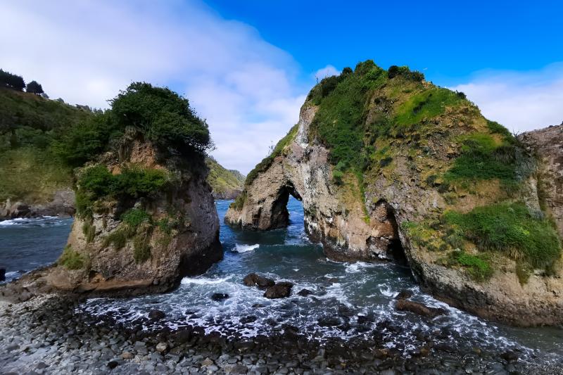 oncol-park-in-valdivia-history-nature-trails-3