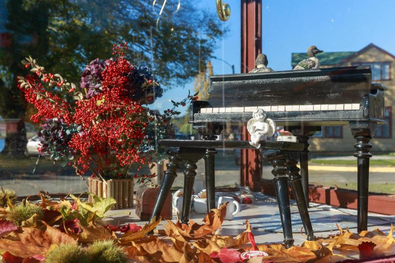 colonists-route-llanquihue-frutillar-3