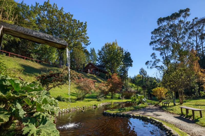 colonists-route-llanquihue-frutillar-4