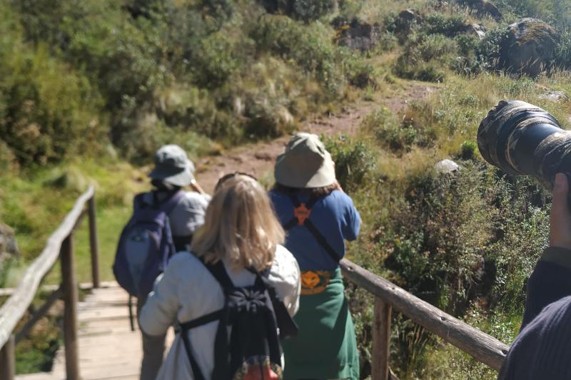 abra-malaga-birdwatching-from-ollantaytambo-1