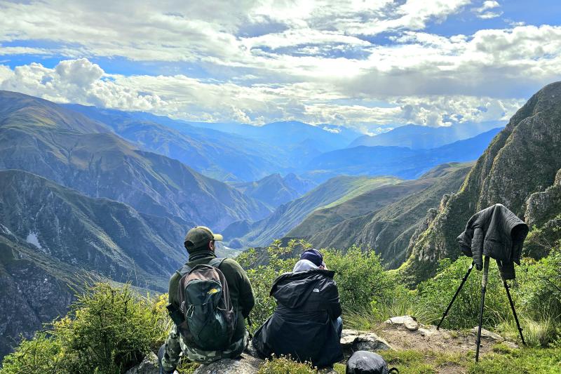 machu-picchu-birding-tour-from-ollantaytambo-2