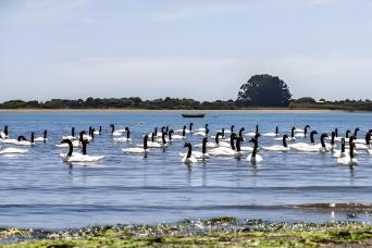 Adventure in Chiloe: Ancud, Caulin and Lacuy