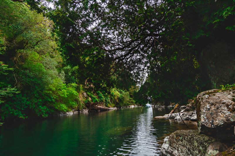 entre-lagos-puerto-octay-lake-rupanco-puyehue-4