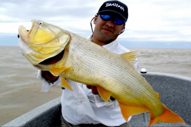 buenos-aires-fishing-day-4