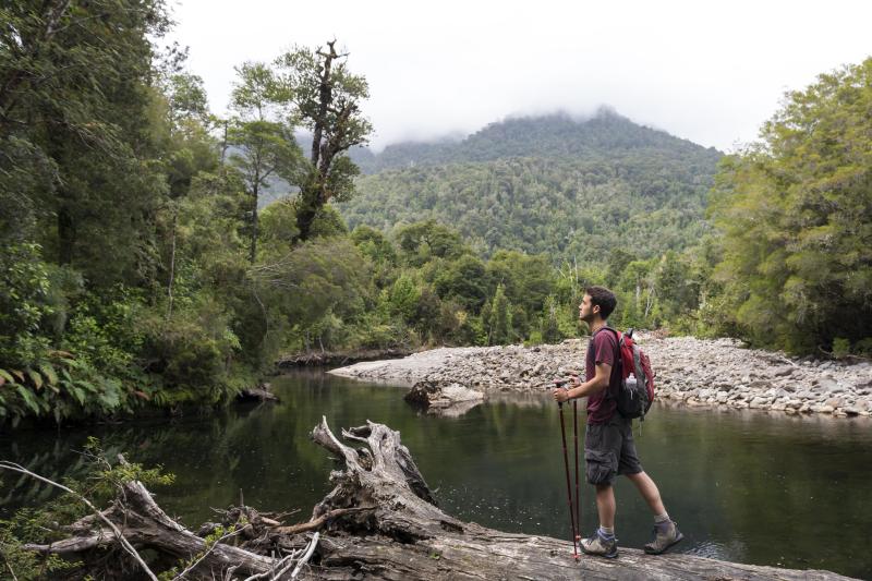 trek-to-alerce-andino-national-park-1