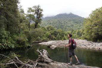 Trek to Alerce Andino National Park