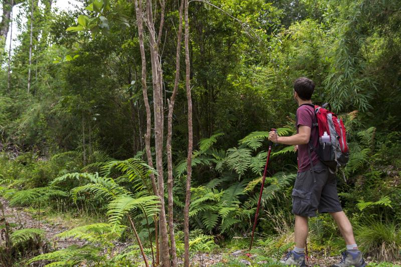 trek-to-alerce-andino-national-park-2