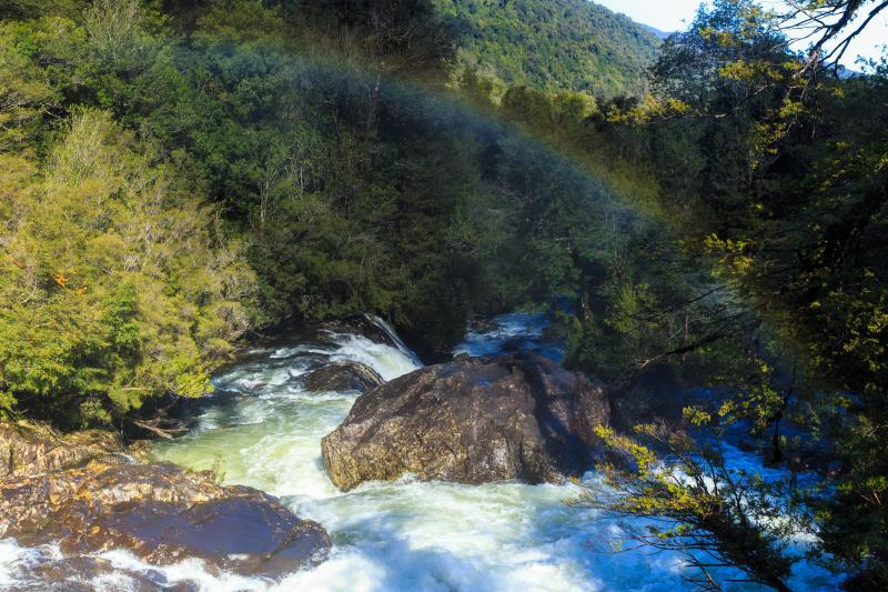trek-to-alerce-andino-national-park-3