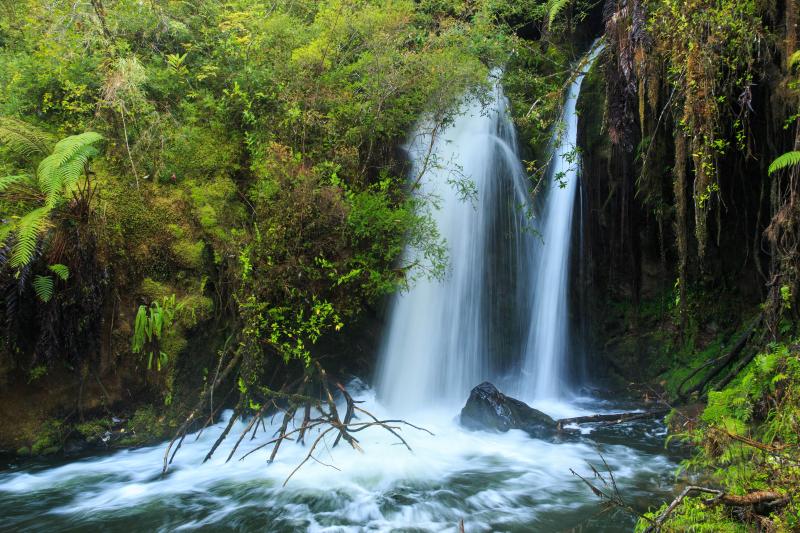trek-to-alerce-andino-national-park-4