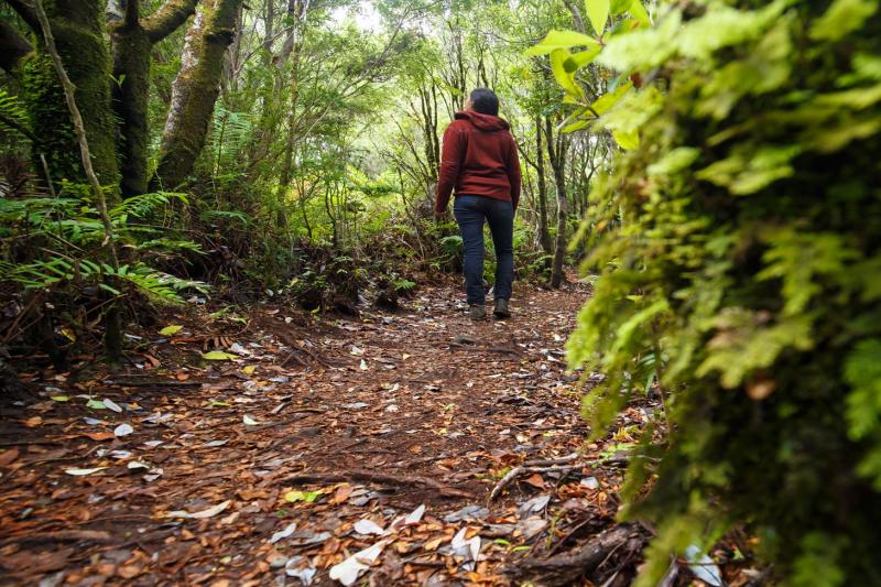 darwins-footprint-at-chiloe-national-park-3
