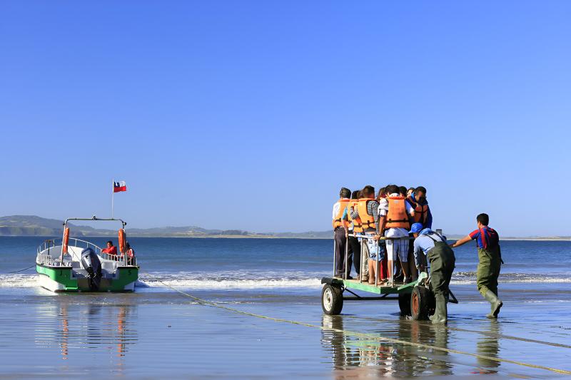 penguin-adventure-in-punihuil-bay-ancud-from-castr-3