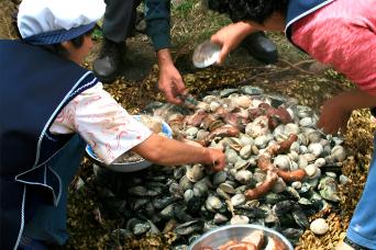 Curanto al Hoyo: Tradition & Flavor from Castro