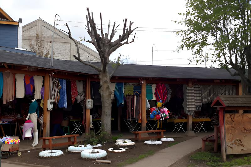 coyhaique-essential-city-tour-heart-of-patagonia-2