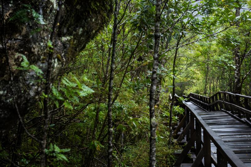 queulats-hanging-glacier-route-private-tour-3