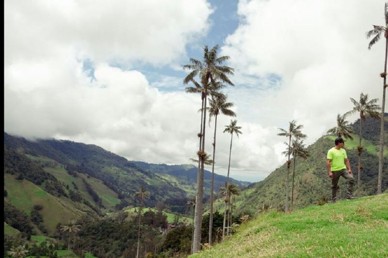 filandia-salento-and-cocora-valley-tour-from-arme-2