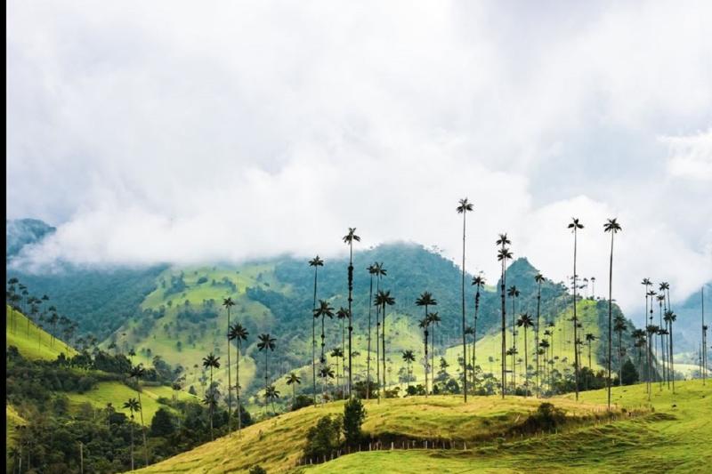 filandia-salento-and-cocora-valley-tour-from-arme-5