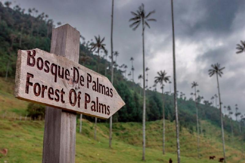 filandia-salento-and-cocora-valley-tour-from-pere-2