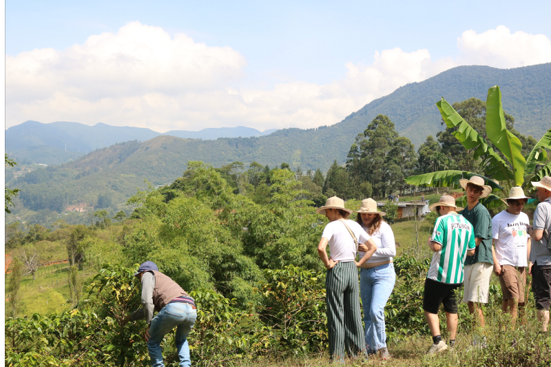 traditional-coffee-tour-2