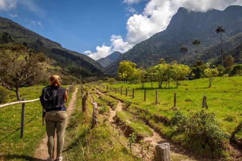 trekking-in-cocora-valley-1