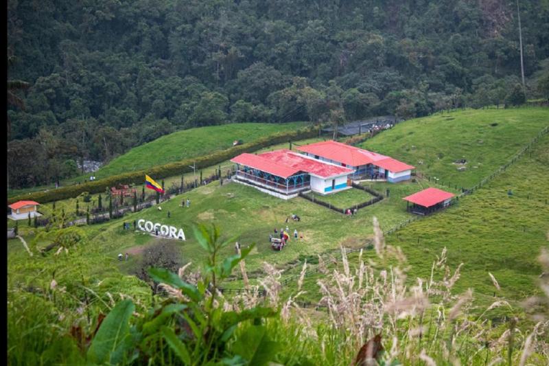 trekking-in-cocora-valley-2