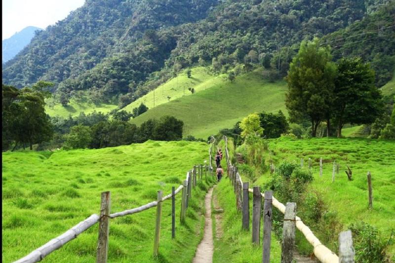 trekking-in-cocora-valley-4