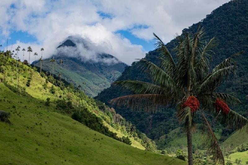 trekking-in-cocora-valley-5
