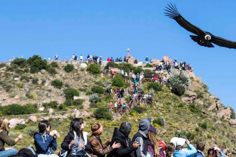 2-day-colca-canyon-classic-tour-coporaque-6