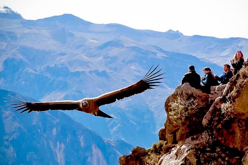 2-day-colca-canyon-classic-tour-coporaque-7