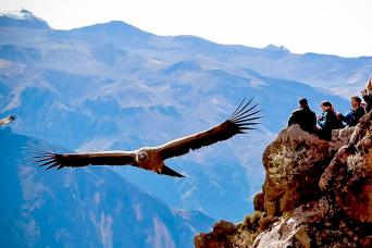 2-day Colca Canyon Classic Tour with transfer to P