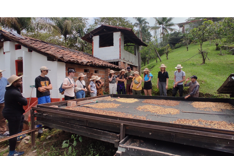 Colombia tour packages