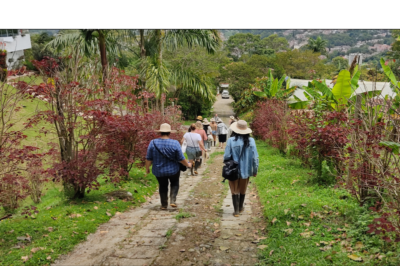 coffee-farm-tour-and-tasting-experience-3