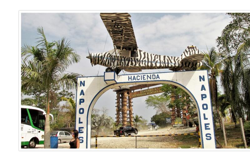 hacienda-napoles-theme-park-safari-ticket-1