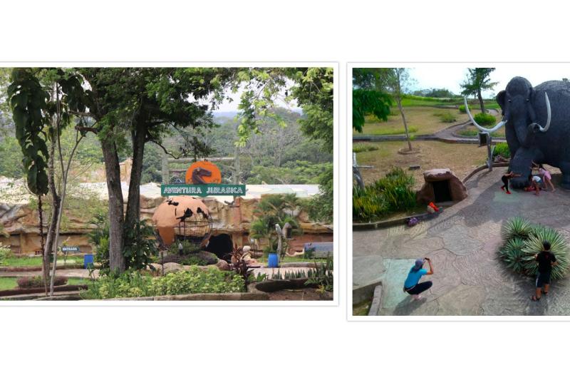 hacienda-napoles-theme-park-safari-ticket-5