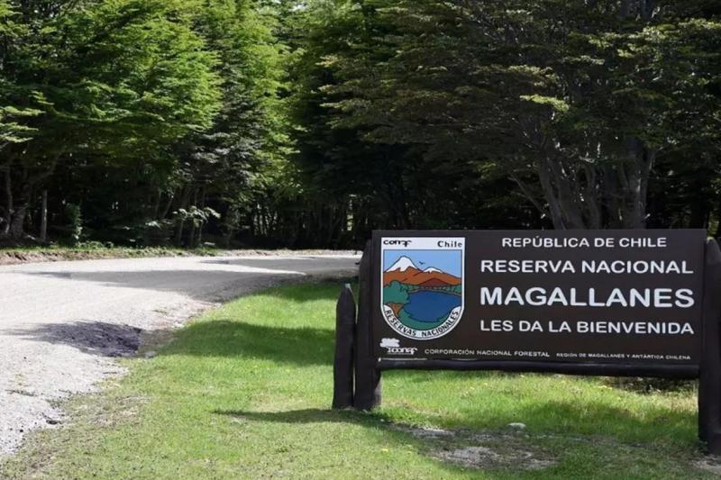hiking-the-magallanes-forest-reserve-1