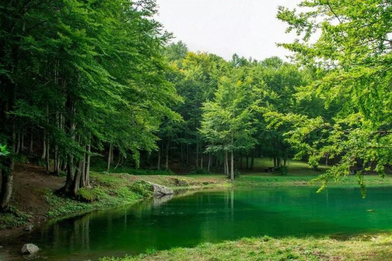 hiking-the-magallanes-forest-reserve-2