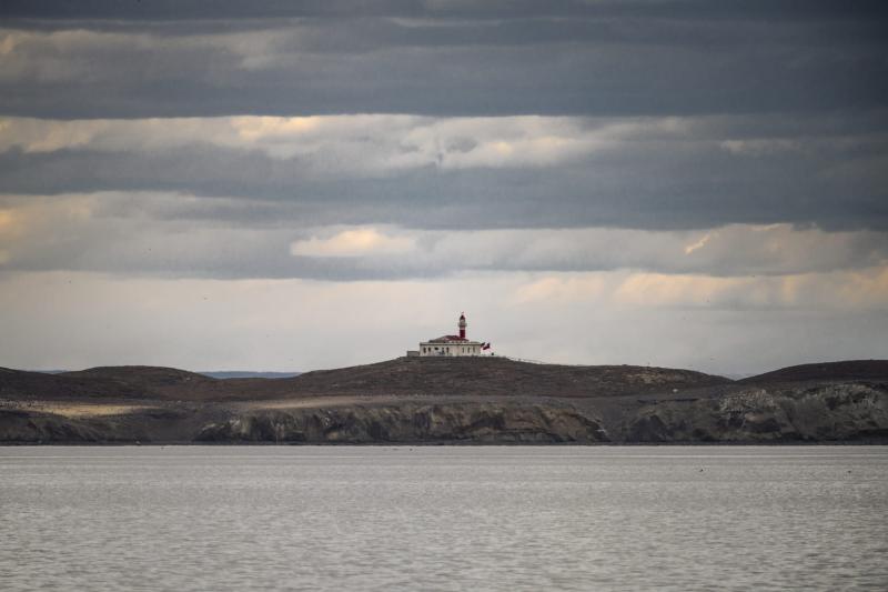 magdalena-island-penguin-watching-tour-from-punta-10