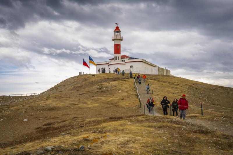 magdalena-island-penguin-watching-tour-from-punta-4
